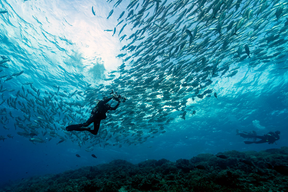 Tubbataha Reef