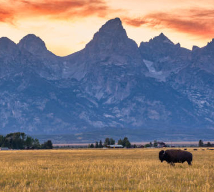 Yellowstone